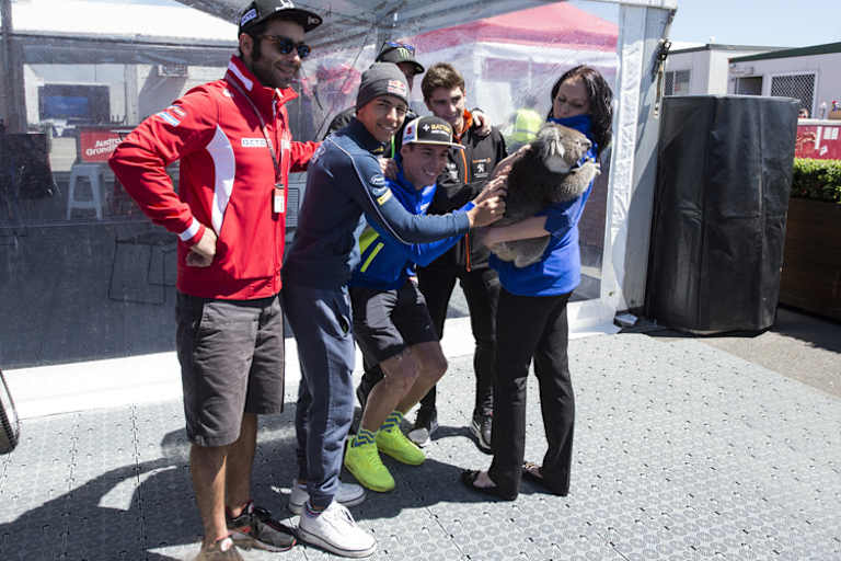 Streichelten in Australien einen Koala: Petrucci, Bastianini, Aleix und Pol Espargaró sowie Arenas