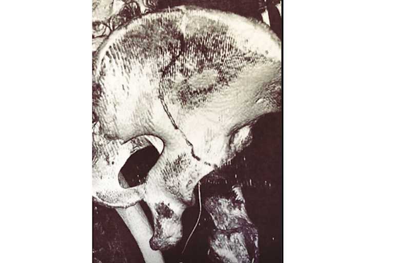 Der Riss in der Beckenschaufel ist deutlich zu sehen