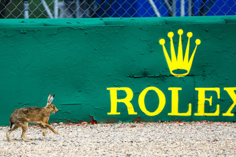 Noch einer ausgebüchst, verflixt!