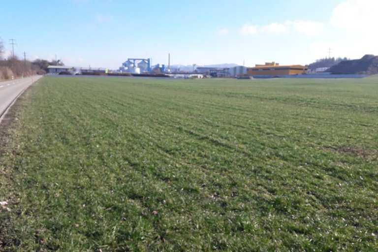 Alles friedlich: So sieht derzeit die Wiese am Rande des Frauenfelder Industriegebietes aus, auf der vergangenen August die Motocross-WM stattfand. 