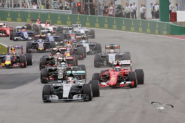 Schon 2015 ärgerte eine Möwe die Formel-1-Fahrer