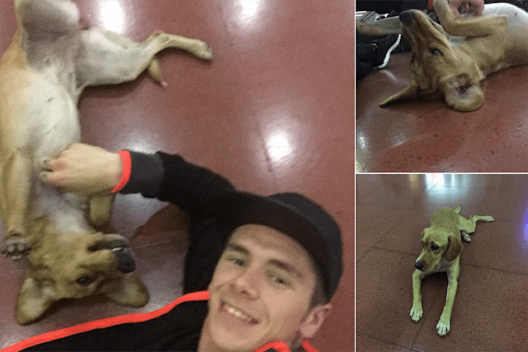 Scott Redding fand am Flughafen in Tucuman einen neuen Freund auf vier Beinen