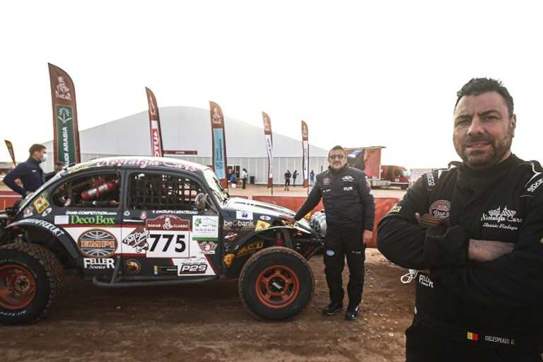 Ein toller Käfer in der Wüste