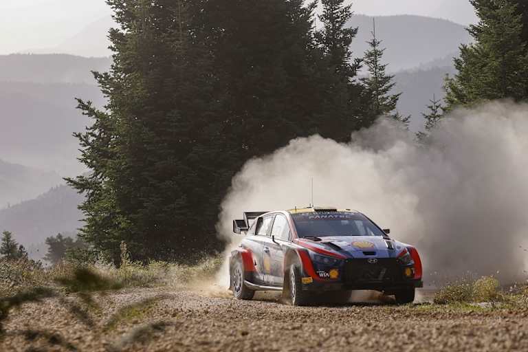 Sieger Thierry Neuville