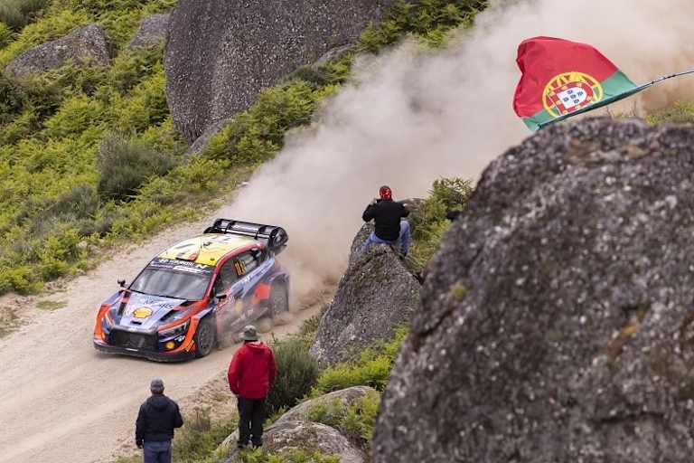 Pechvogel Thierry Neuville