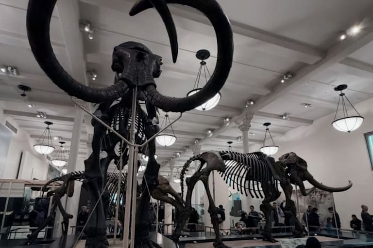 Di Giannantonio: Auch Museums-Besuche stehen auf der Tagesordnung