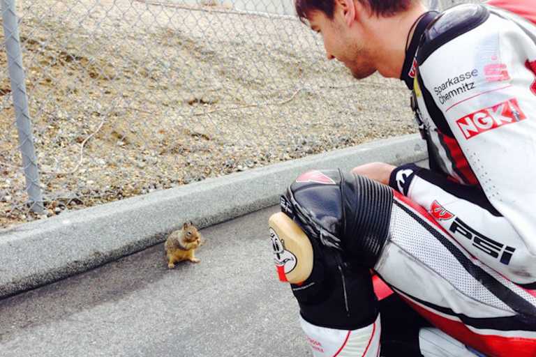 Zu Besuch in Laguna Seca: Das Aichhörnchen begrüßt den Fremden