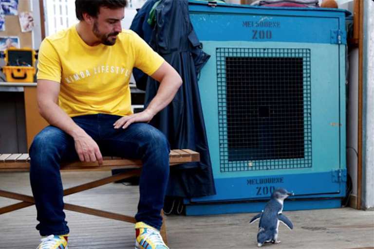 Fernando Alonso 2017 in Melbourne