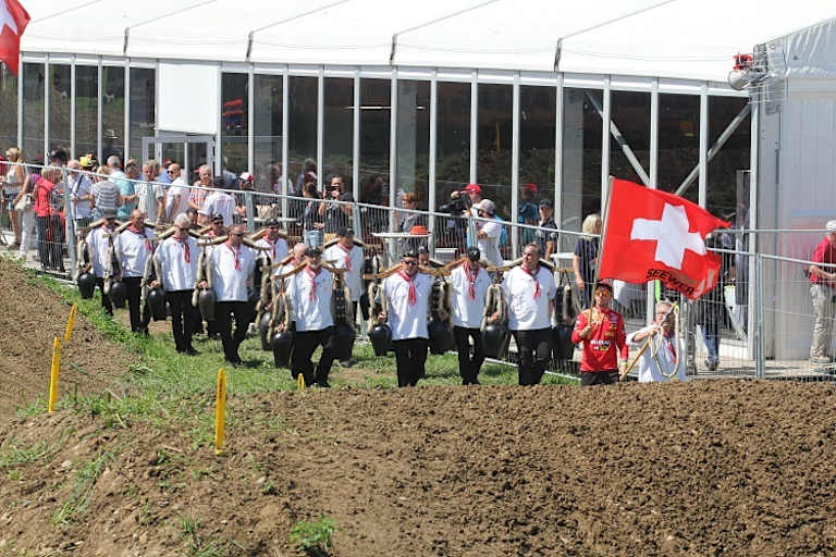 Demokratie ist nun mal die Herrschaft der Mehrheit - ein dauerhaft besseres Regierungssystem wurde bislang nicht erfunden 