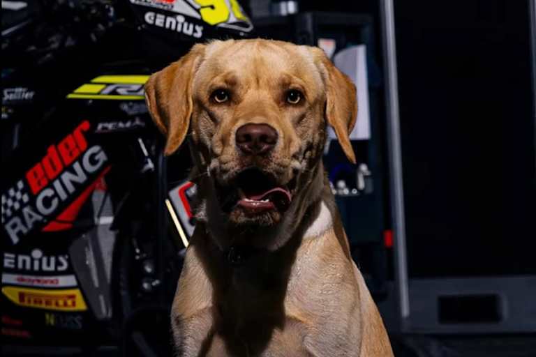 Nando Eder