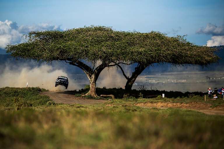 Elfyn Evans als Tiefflieger unter einem Affenbrotbaum in 2025