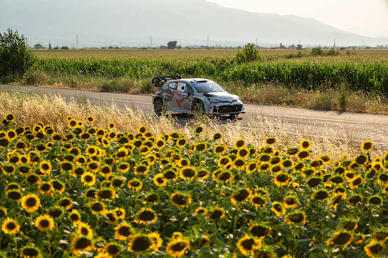 Vor dem Wechsel in den Monoposto: Kalle Rovanperä im Sonnenblumenfeld