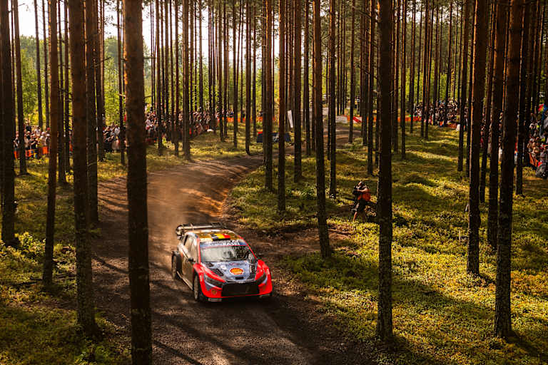 Thierry Neuville im finnischen Wald